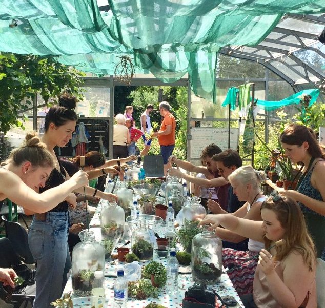 Terrarium Workshop