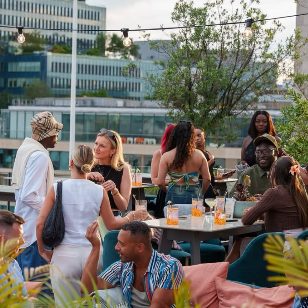 Rooftop Drinks